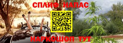 ПСИЛОЦИБИНОВЫЕ ГРИБЫ Кинель